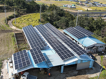 نظام السقف المعدني ، كوريا