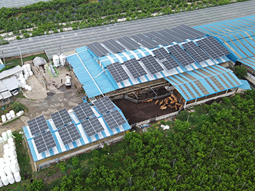 نظام تركيب السقف المعدني كوريا